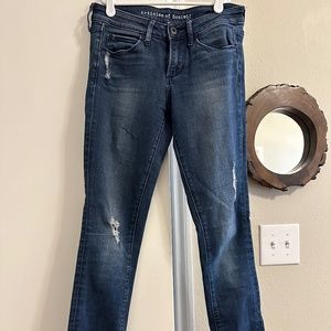 Articles of Society Dark Wash Skinny Jeans